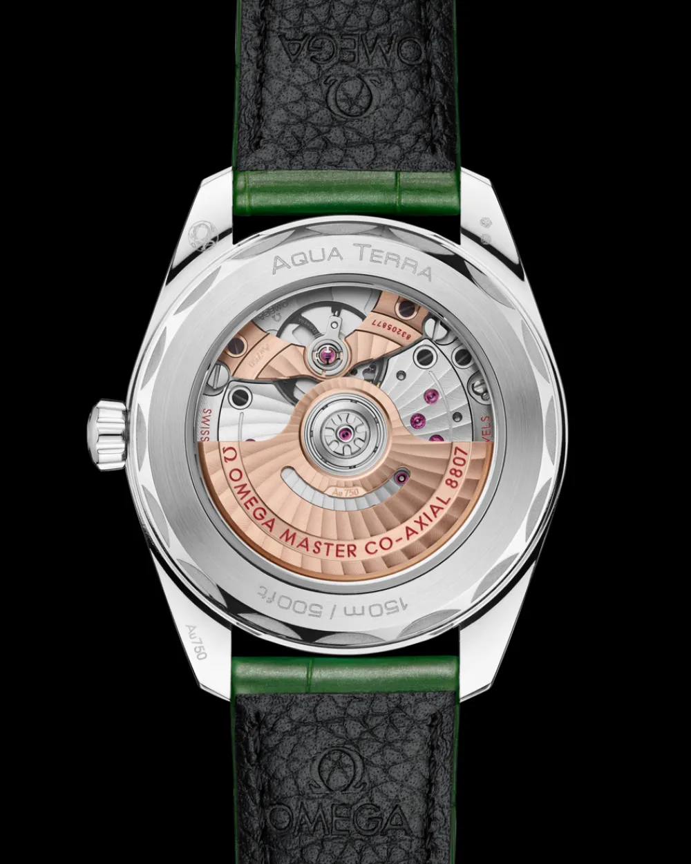 38 mm, Canopus Gold™ on alligator^OMEGA Fashion