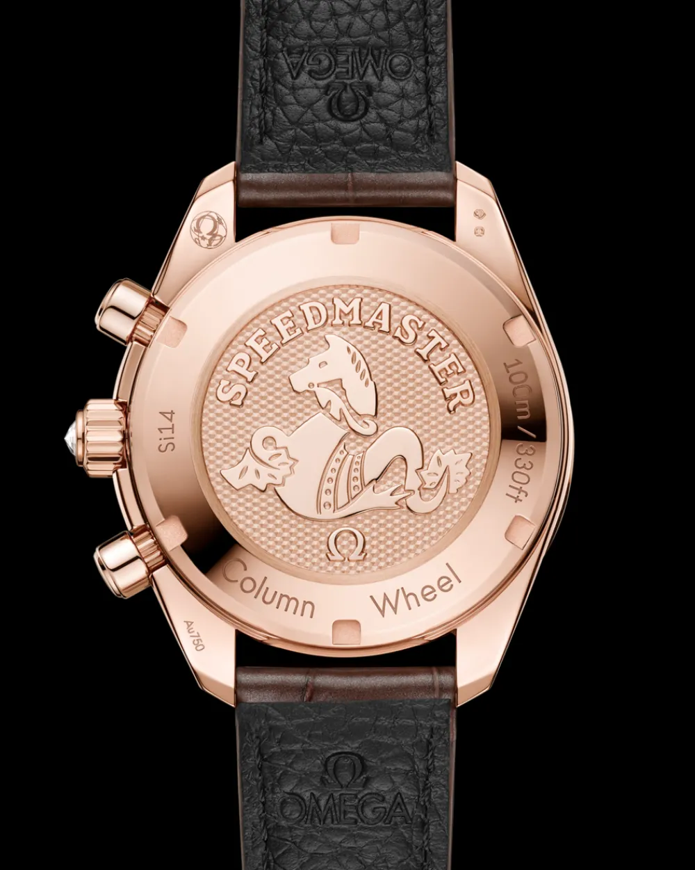 38 mm, Sedna™ gold on alligator^OMEGA Discount