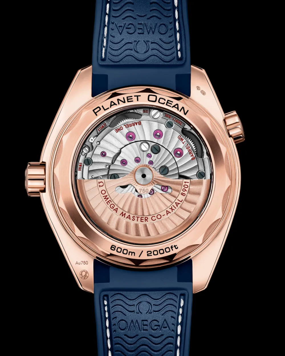 43.5 mm, Sedna™ gold on leather strap with rubber lining^OMEGA Fashion