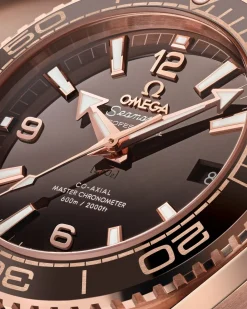 39.5 mm, Sedna™ gold on leather strap with rubber lining^OMEGA Discount