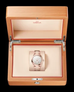 41 mm, Sedna™ gold on Sedna™ gold^OMEGA Hot