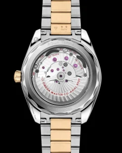 41 mm, steel ‑ Moonshine™ gold on steel ‑ Moonshine™ gold^OMEGA Discount