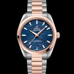 38 mm, steel ‑ Sedna™ gold on steel ‑ Sedna™ gold^OMEGA Outlet