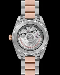 38 mm, steel ‑ Sedna™ gold on steel ‑ Sedna™ gold^OMEGA Discount