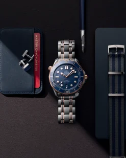 42 mm, steel ‑ Sedna™ gold on steel ‑ Sedna™ gold^OMEGA New