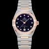 29 mm, steel ‑ Sedna™ gold on steel ‑ Sedna™ gold^OMEGA Discount