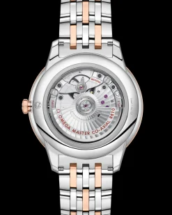 41 mm, steel ‑ Sedna™ gold on steel ‑ Sedna™ gold^OMEGA Online