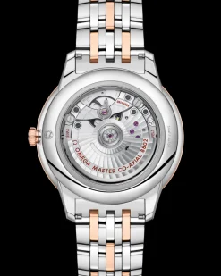 41 mm, steel ‑ Sedna™ gold on steel ‑ Sedna™ gold^OMEGA Clearance