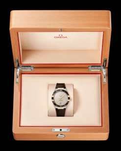 41 mm, steel ‑ yellow gold on leather strap^OMEGA Hot