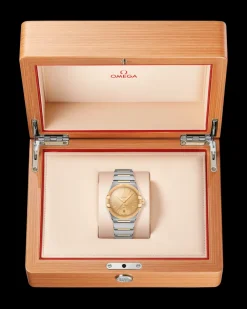 39 mm, steel ‑ yellow gold on steel ‑ yellow gold^OMEGA Fashion