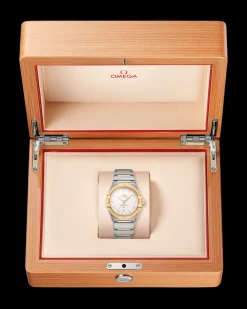 39 mm, steel ‑ yellow gold on steel ‑ yellow gold^OMEGA Sale