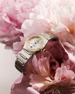 29 mm, steel ‑ yellow gold on steel ‑ yellow gold^OMEGA Fashion