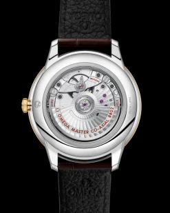 41 mm, steel ‑ yellow gold on leather strap^OMEGA Clearance