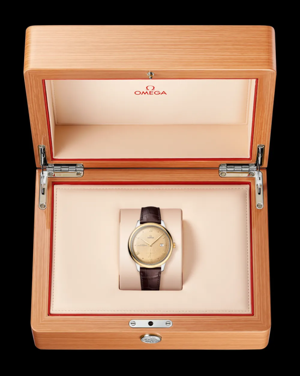 41 mm, steel ‑ yellow gold on leather strap^OMEGA Clearance