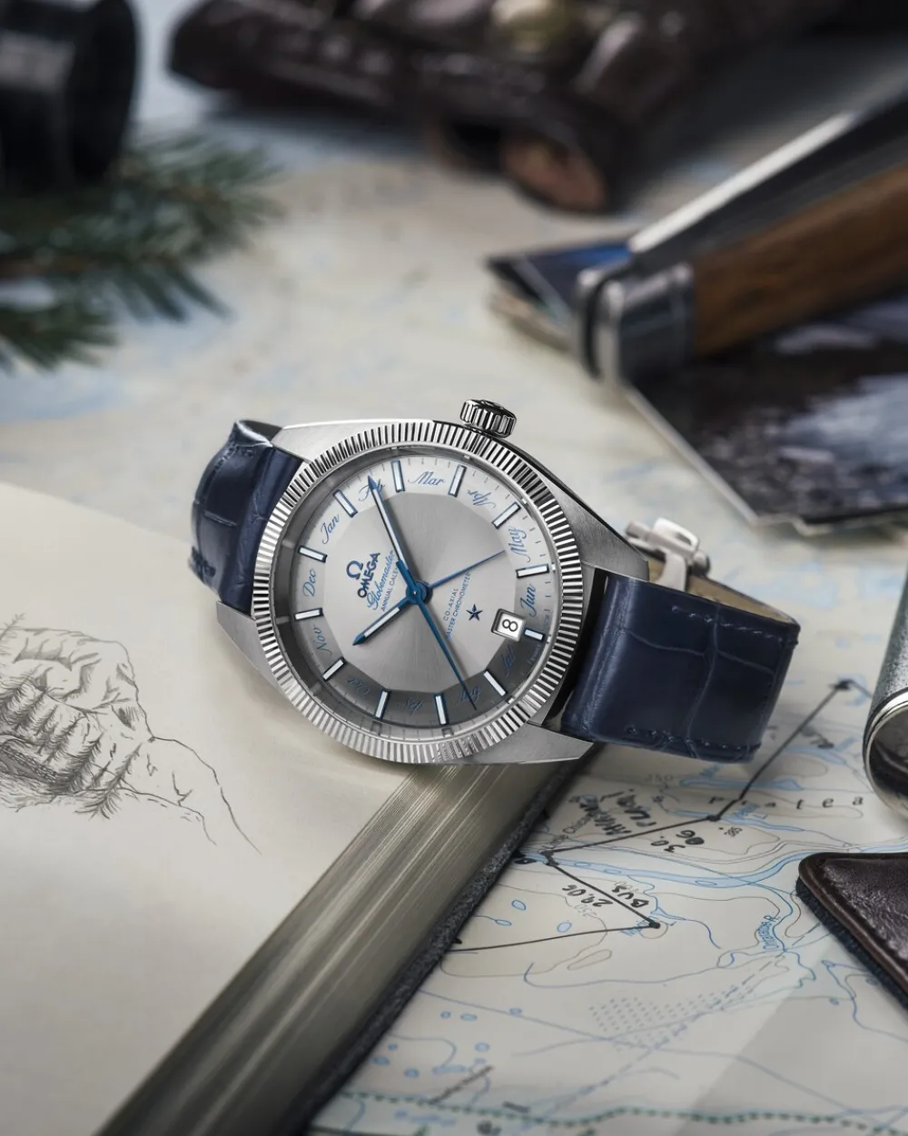 41 mm, steel on leather strap^OMEGA Outlet