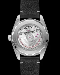 38 mm, steel on leather strap^OMEGA Online