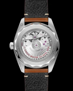 38 mm, steel on leather strap^OMEGA Online