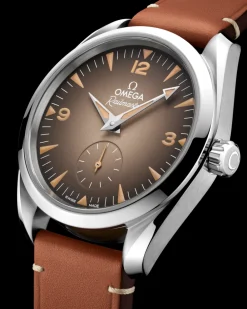 38 mm, steel on leather strap^OMEGA Online