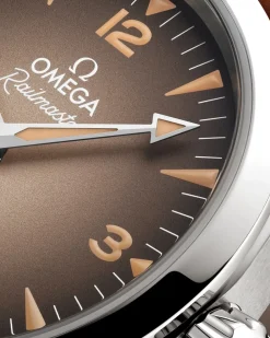 38 mm, steel on leather strap^OMEGA Online