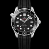 42 mm, steel on rubber strap^OMEGA Hot