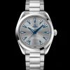 41 mm, steel on steel^OMEGA Hot
