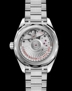 34 mm, steel on steel^OMEGA Online