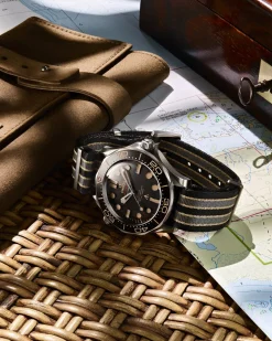 42 mm, titanium on NATO strap^OMEGA Outlet