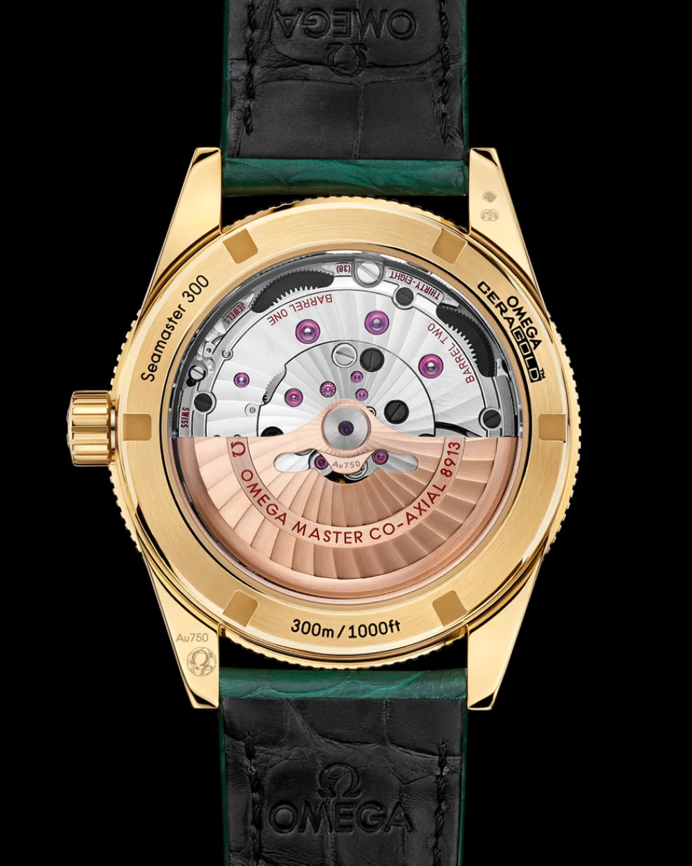 41 mm, yellow gold on leather strap^OMEGA Best